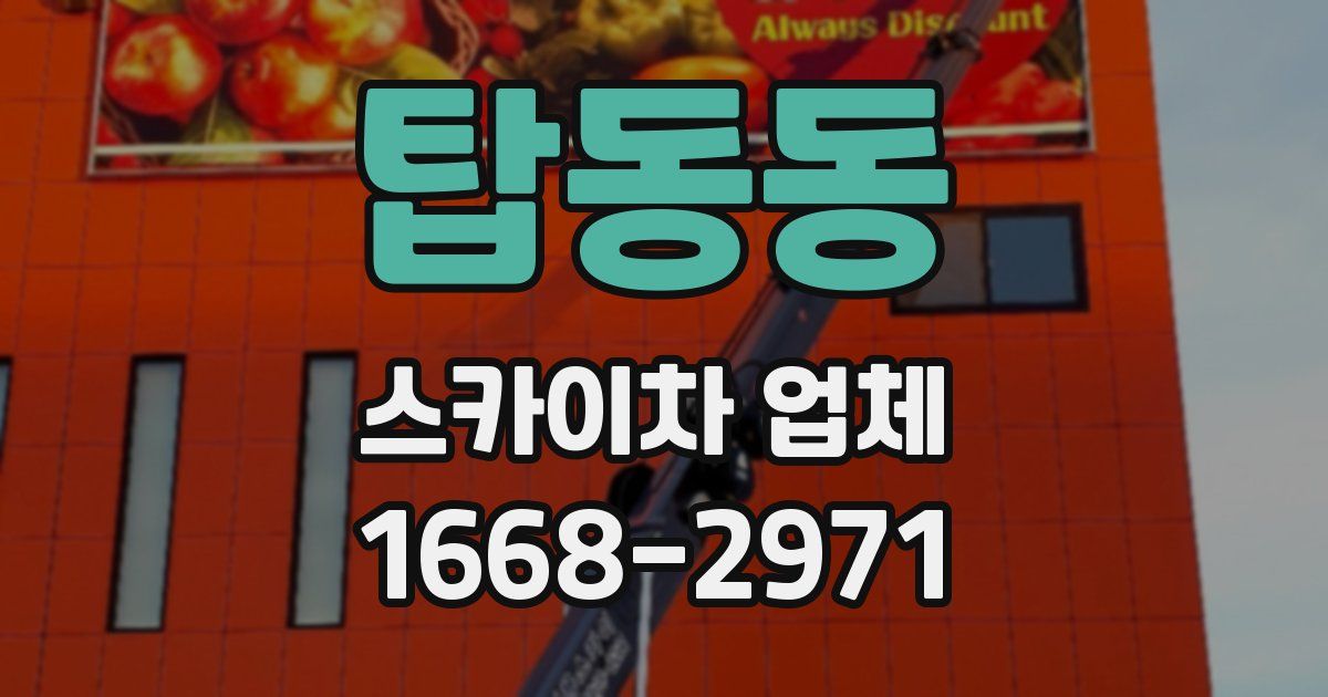 탑동동 스카이차 업체