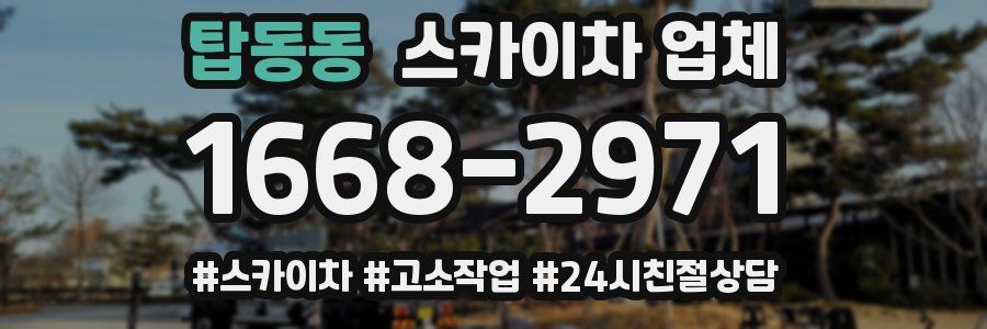 탑동동 스카이차 업체