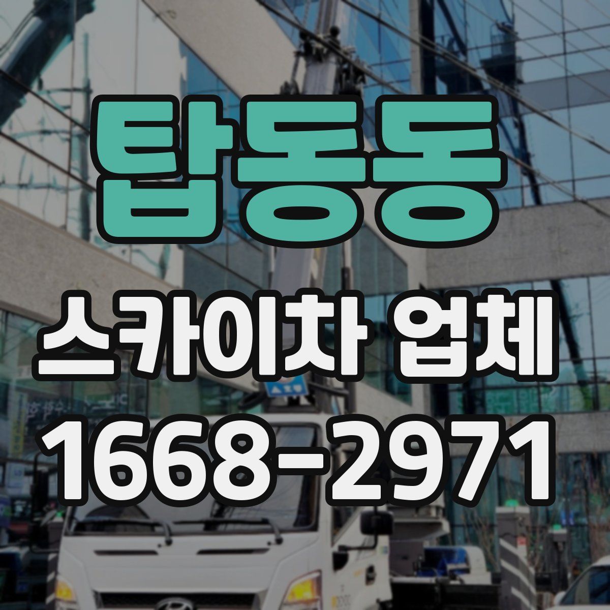 탑동동 스카이차 업체