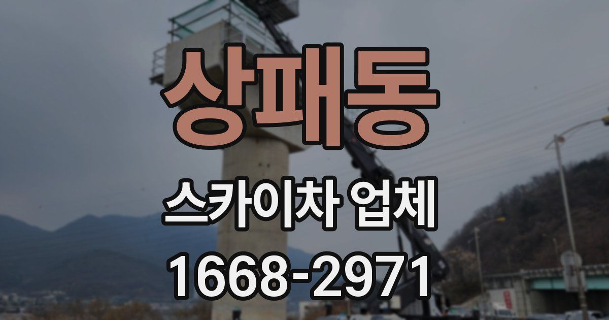 상패동 스카이차 업체