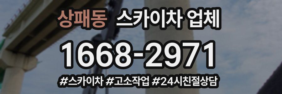 상패동 스카이차 업체