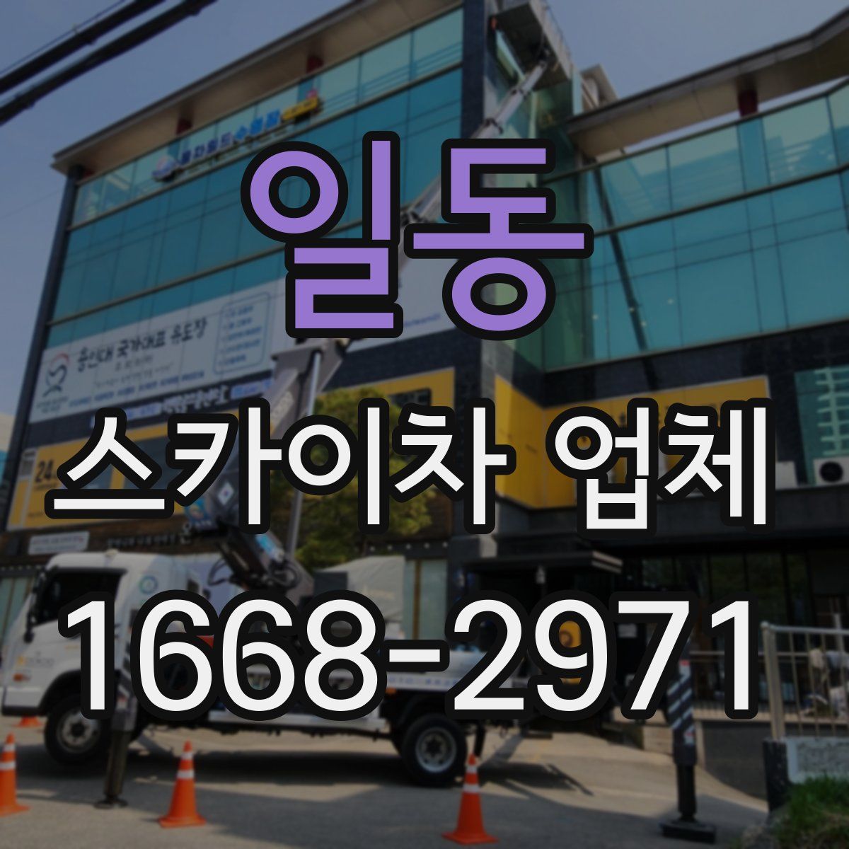 일동 스카이차 업체