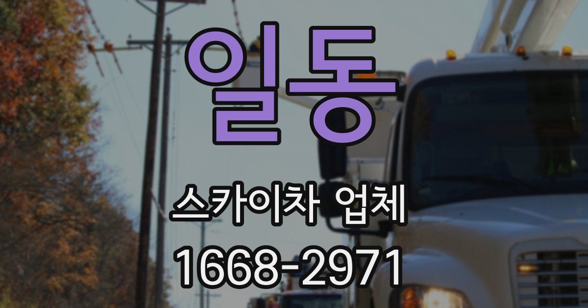 일동 스카이차 업체