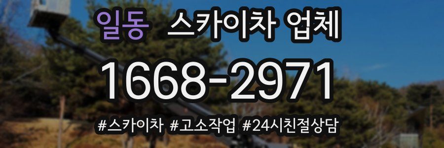 일동 스카이차 업체