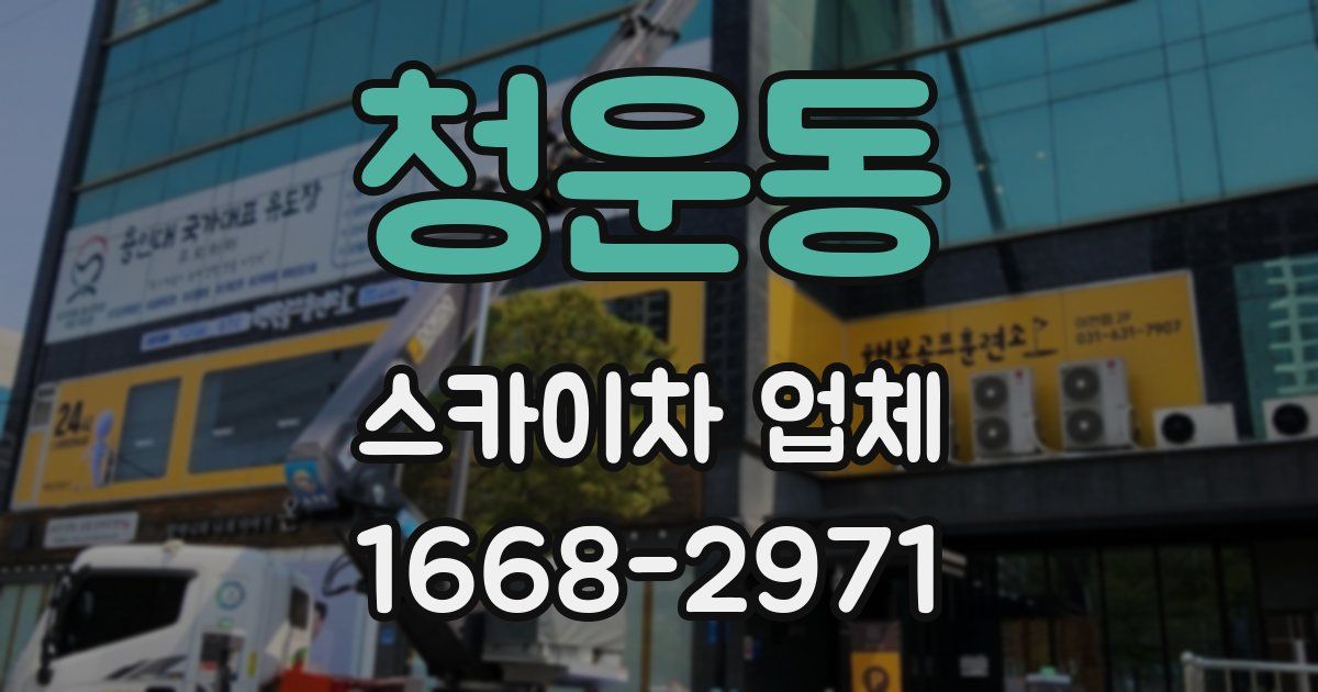 청운동 스카이차 업체