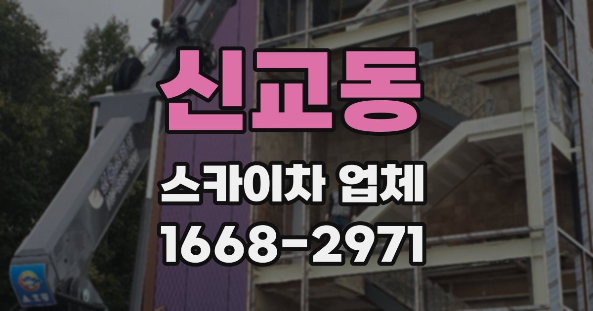신교동 스카이차 업체