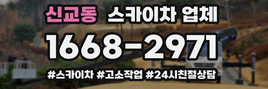 신교동 스카이차 업체