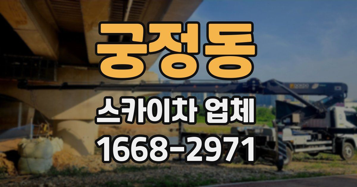 궁정동 스카이차 업체