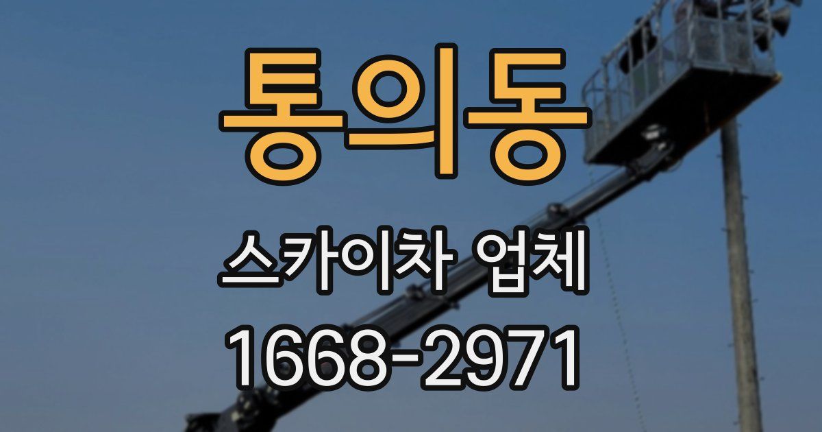통의동 스카이차 업체
