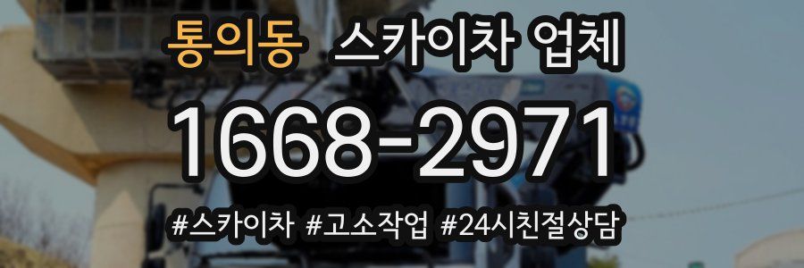통의동 스카이차 업체