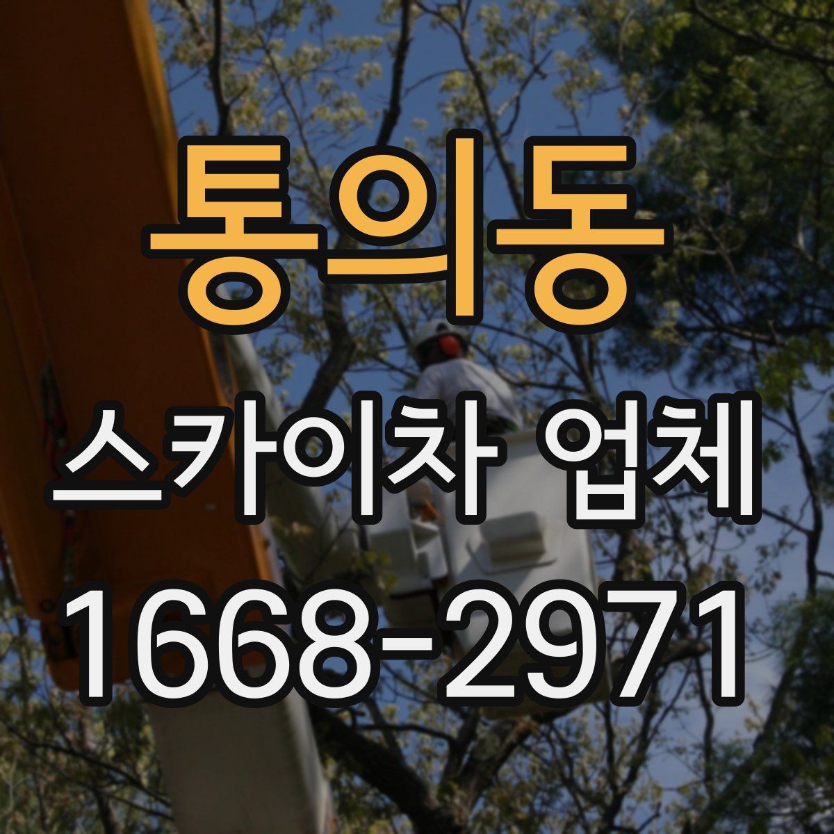 통의동 스카이차 업체