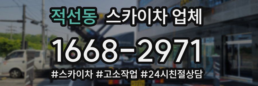적선동 스카이차 업체