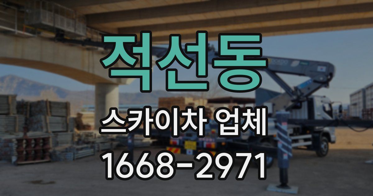적선동 스카이차 업체