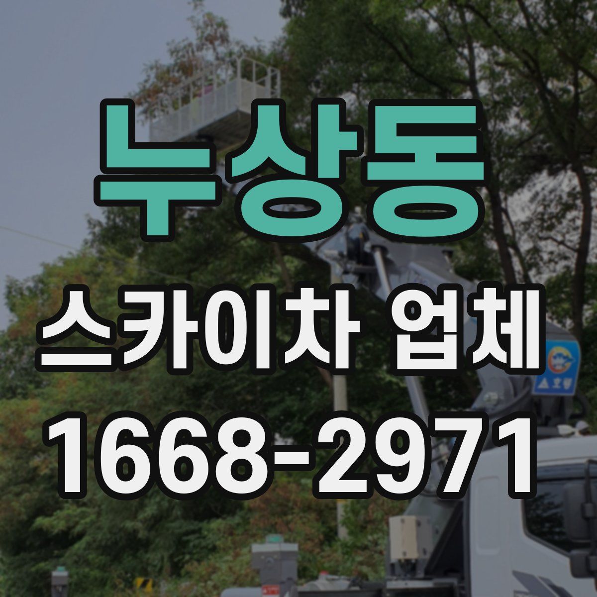 누상동 스카이차 업체