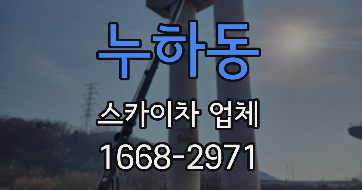 누하동 스카이차 업체