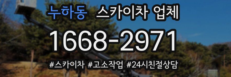 누하동 스카이차 업체