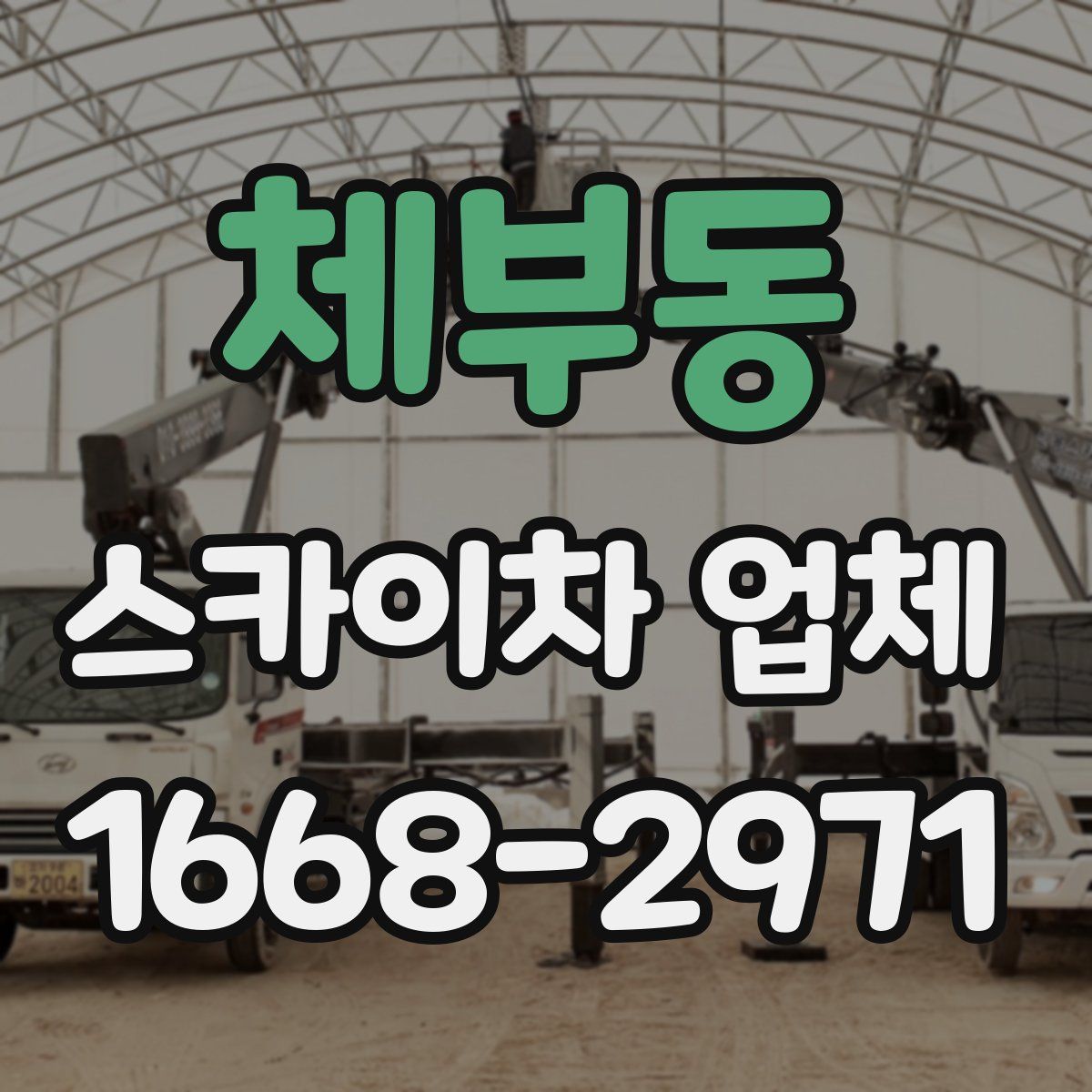 체부동 스카이차 업체
