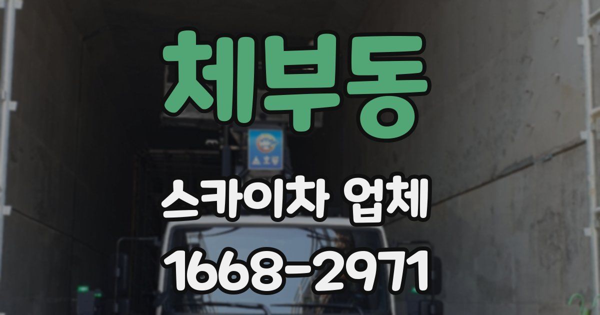체부동 스카이차 업체