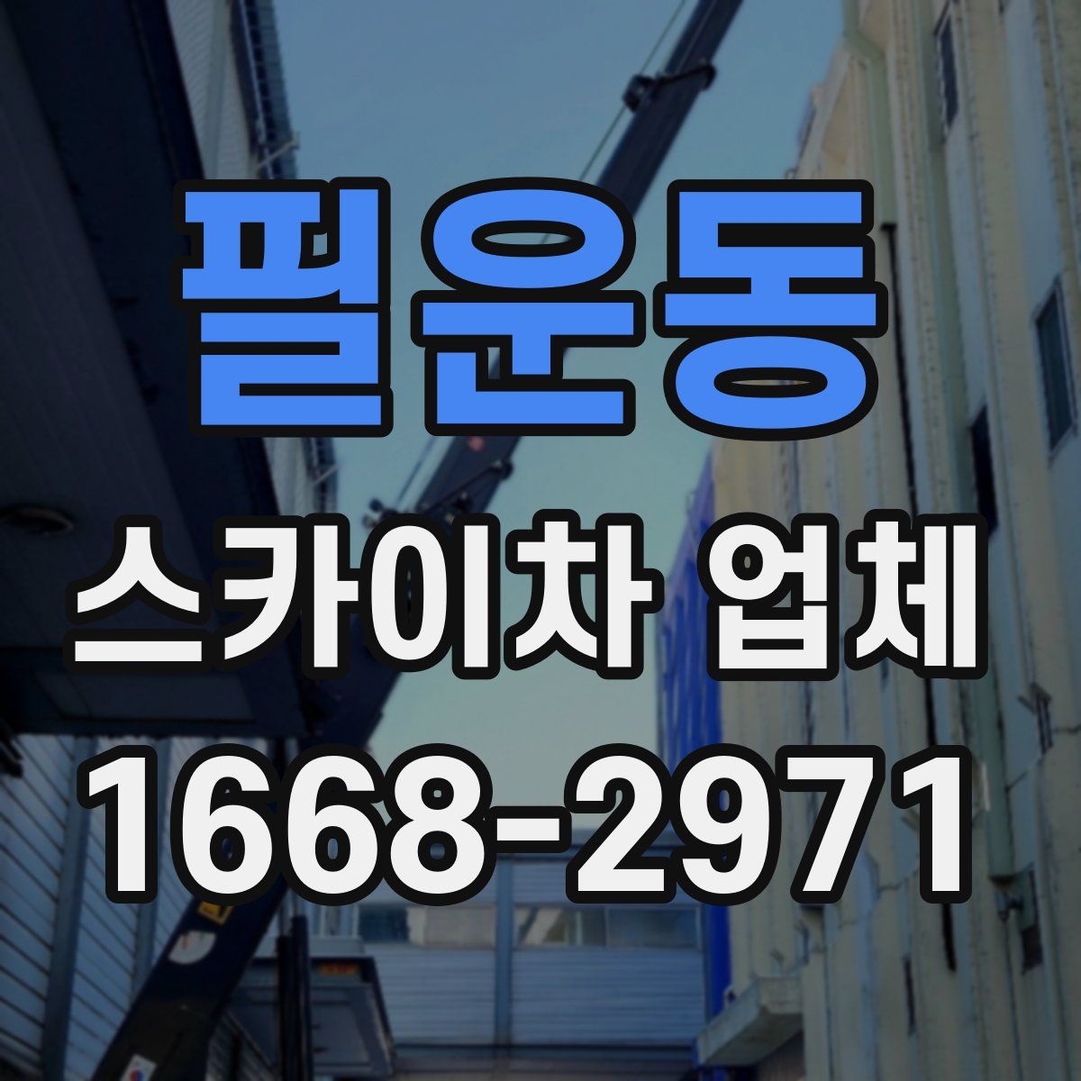 필운동 스카이차 업체