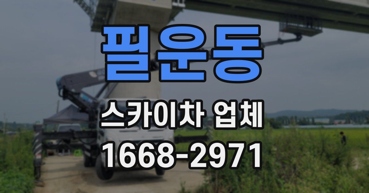 필운동 스카이차 업체