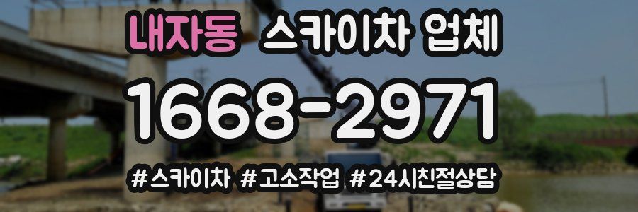 내자동 스카이차 업체