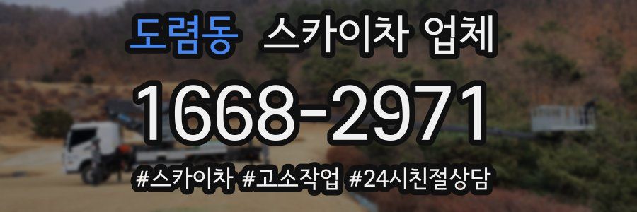 도렴동 스카이차 업체