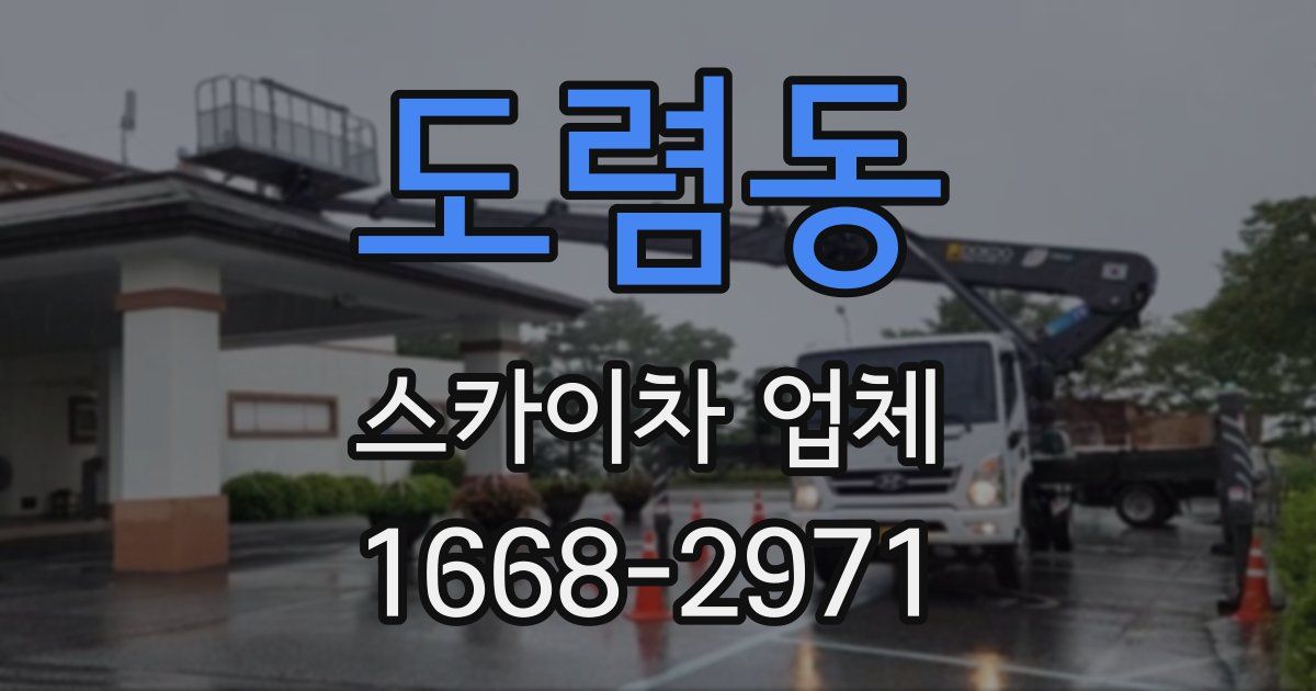 도렴동 스카이차 업체