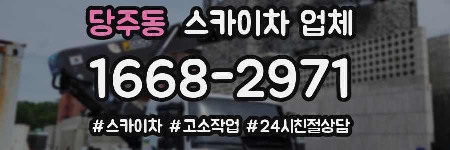 당주동 스카이차 업체
