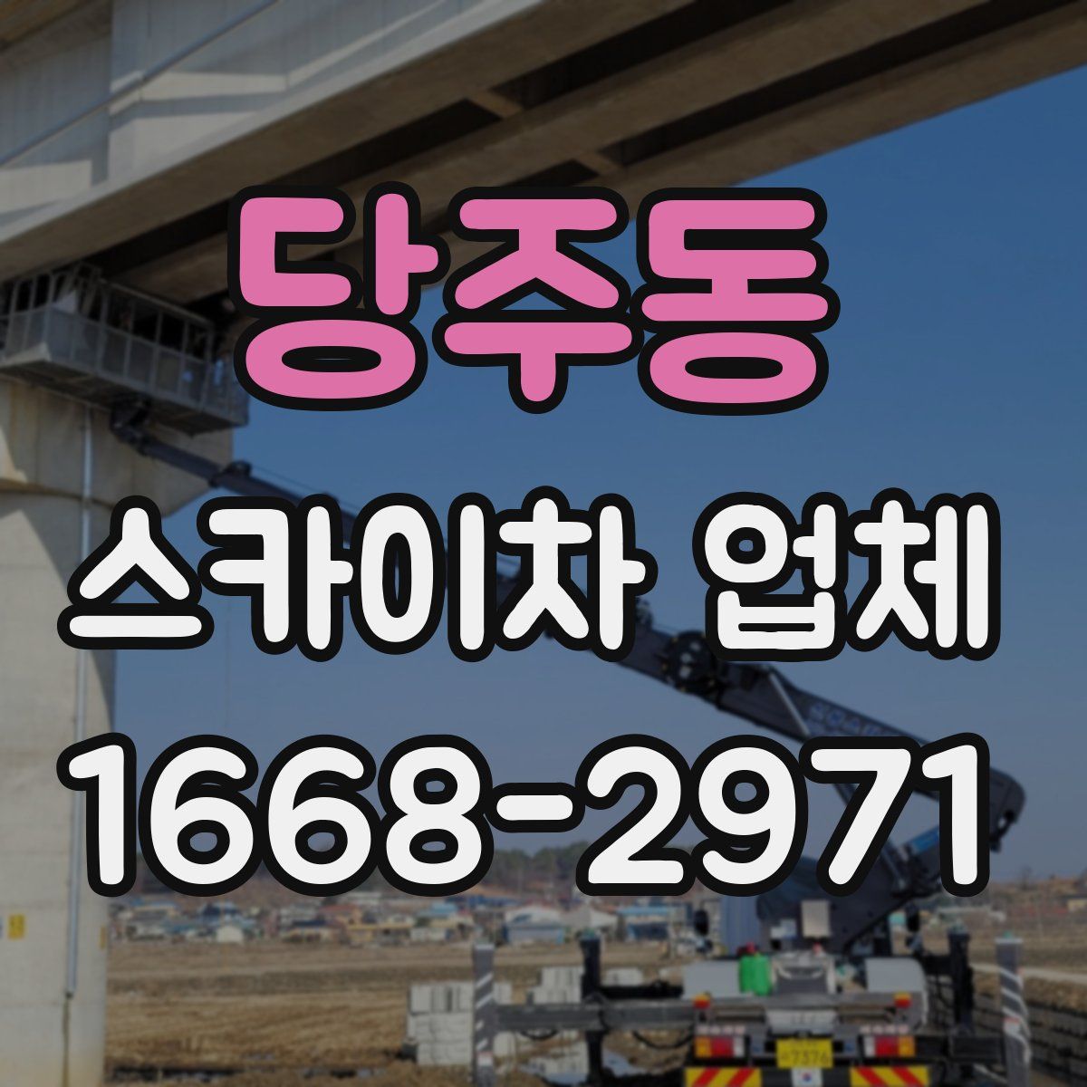 당주동 스카이차 업체
