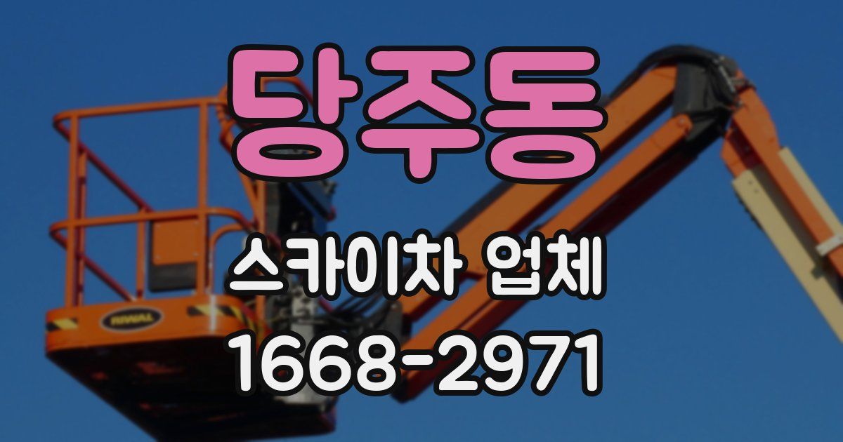 당주동 스카이차 업체