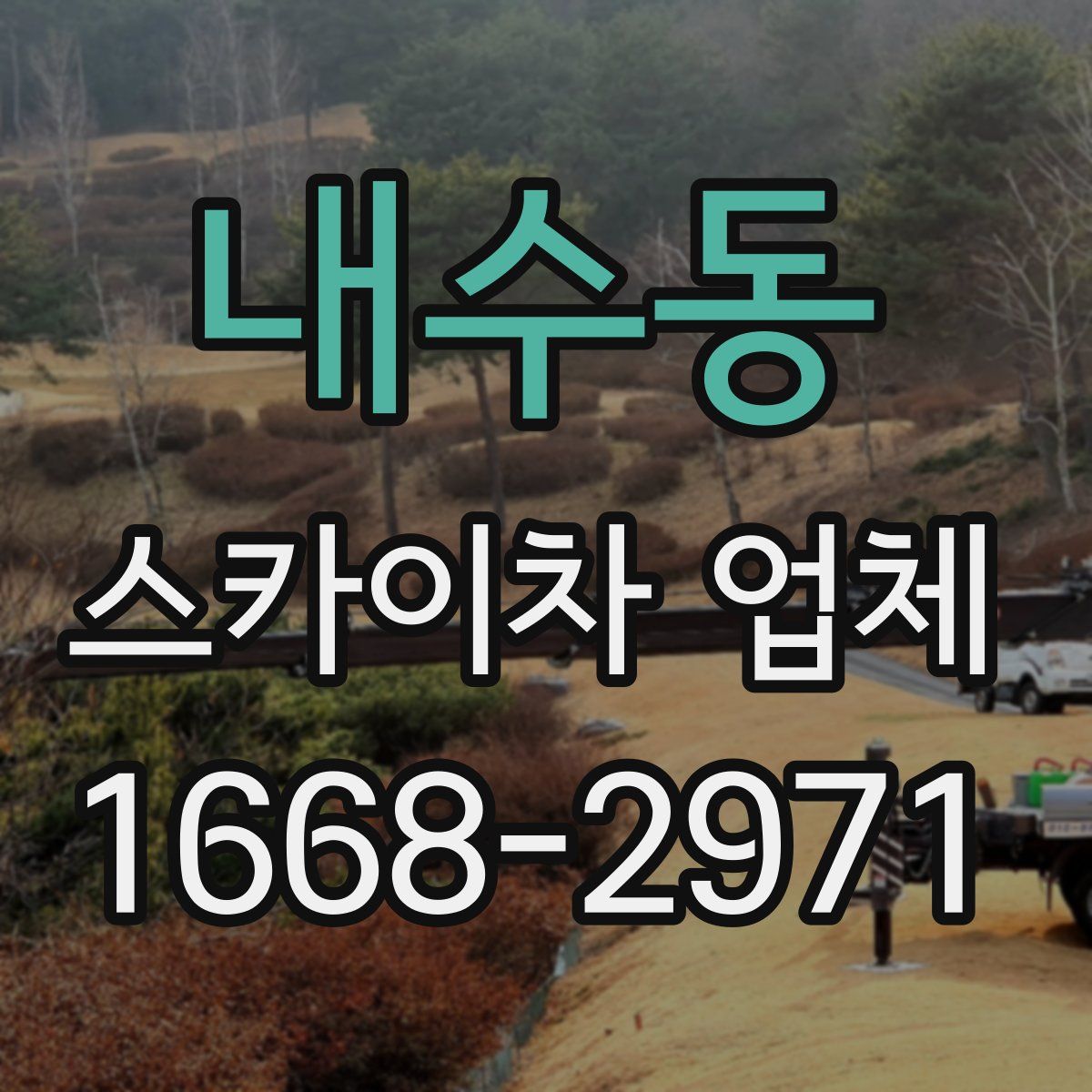 내수동 스카이차 업체