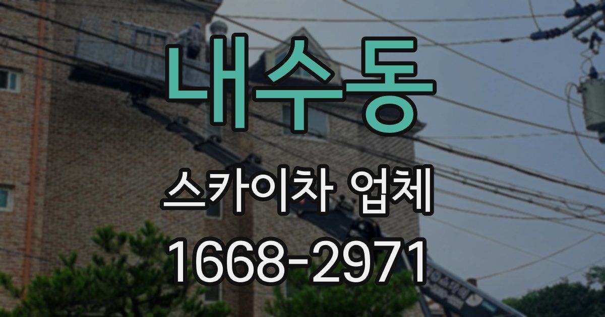 내수동 스카이차 업체