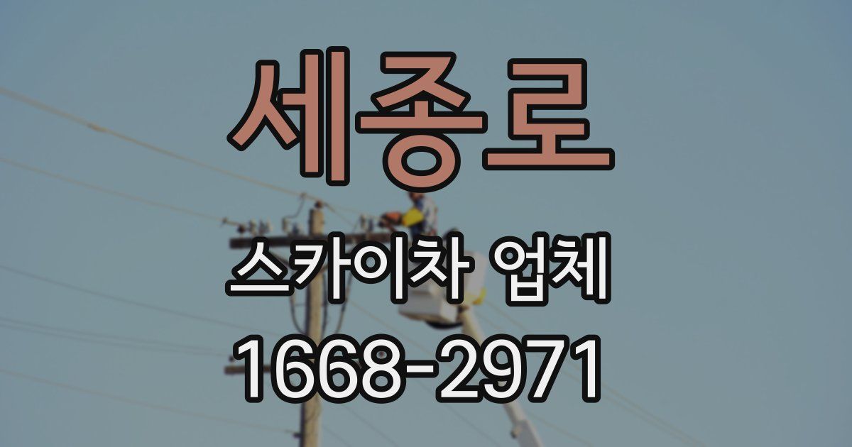 세종로 스카이차 업체