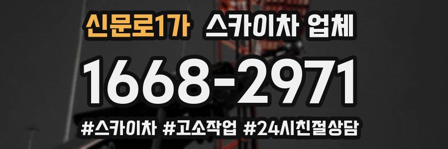 신문로1가 스카이차 업체