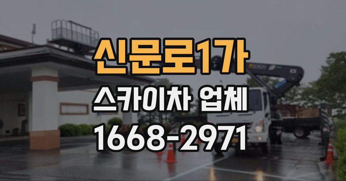신문로1가 스카이차 업체