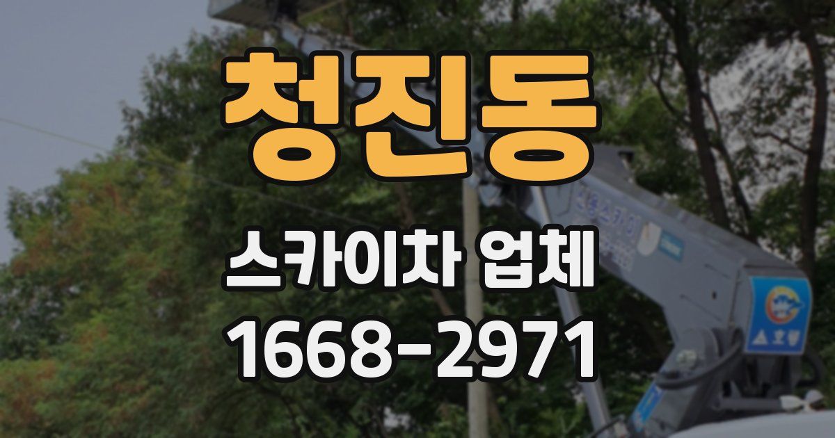 청진동 스카이차 업체