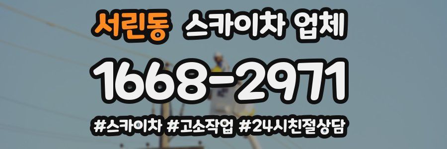 서린동 스카이차 업체