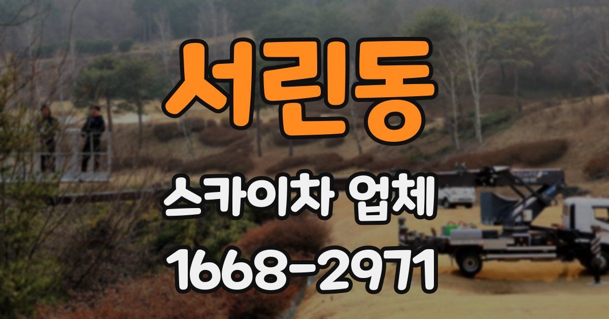 서린동 스카이차 업체