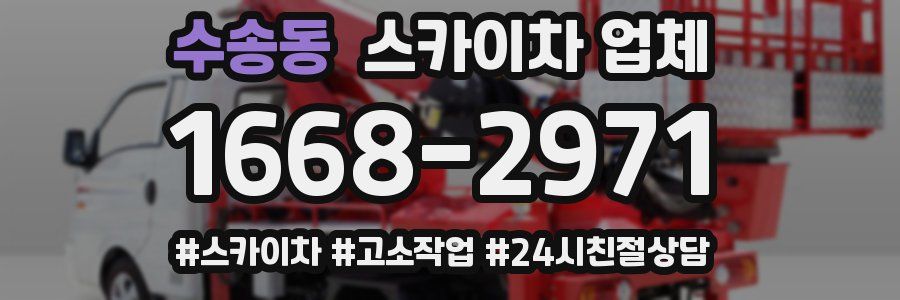수송동 스카이차 업체