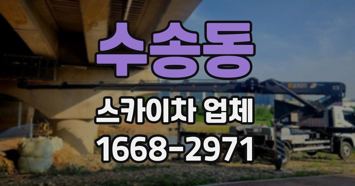 수송동 스카이차 업체