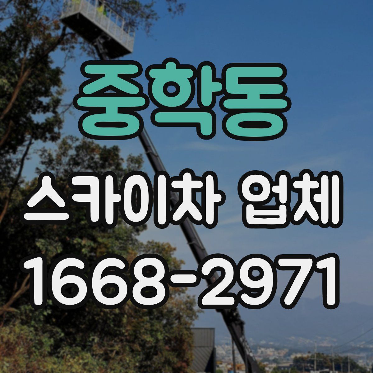 중학동 스카이차 업체