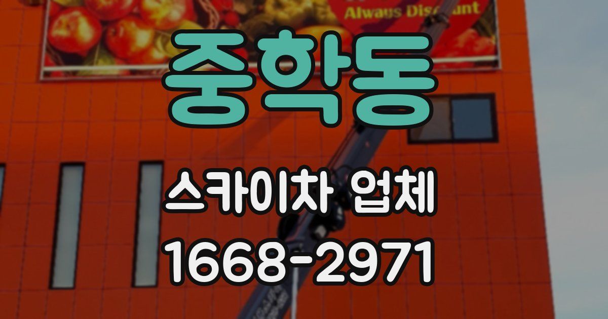 중학동 스카이차 업체