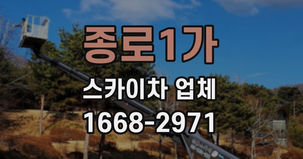 종로1가 스카이차 업체