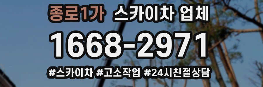 종로1가 스카이차 업체