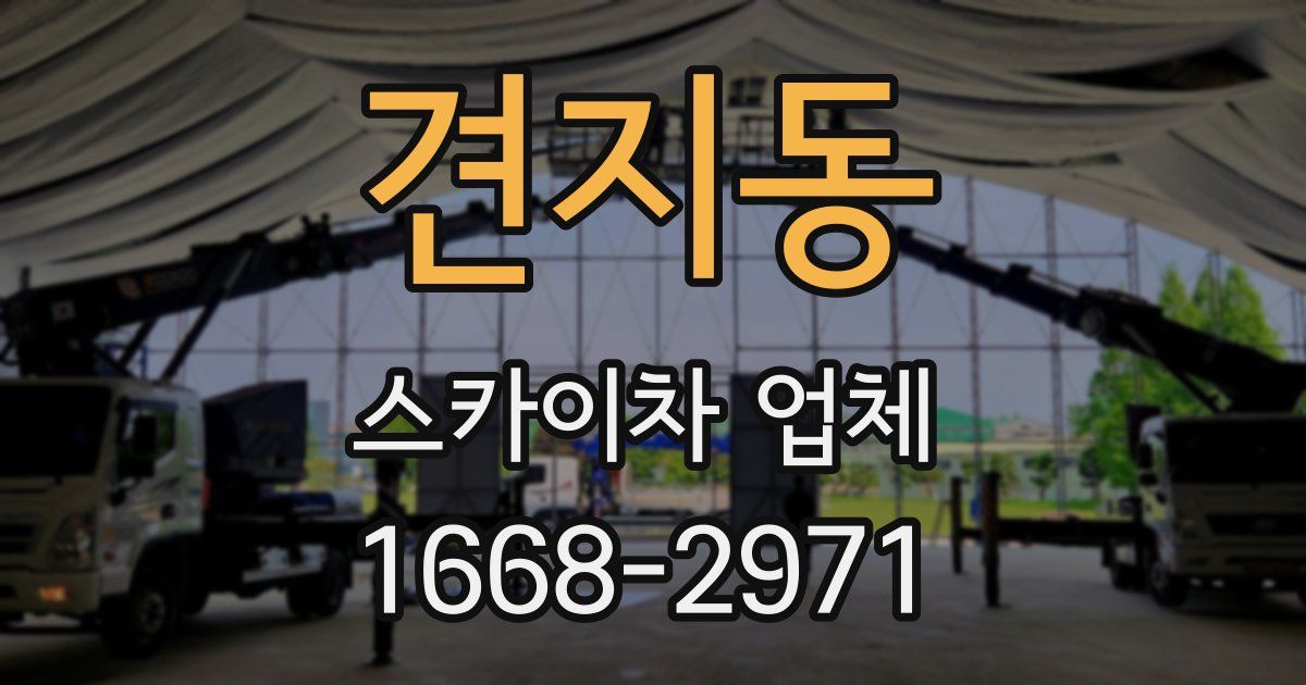 견지동 스카이차 업체