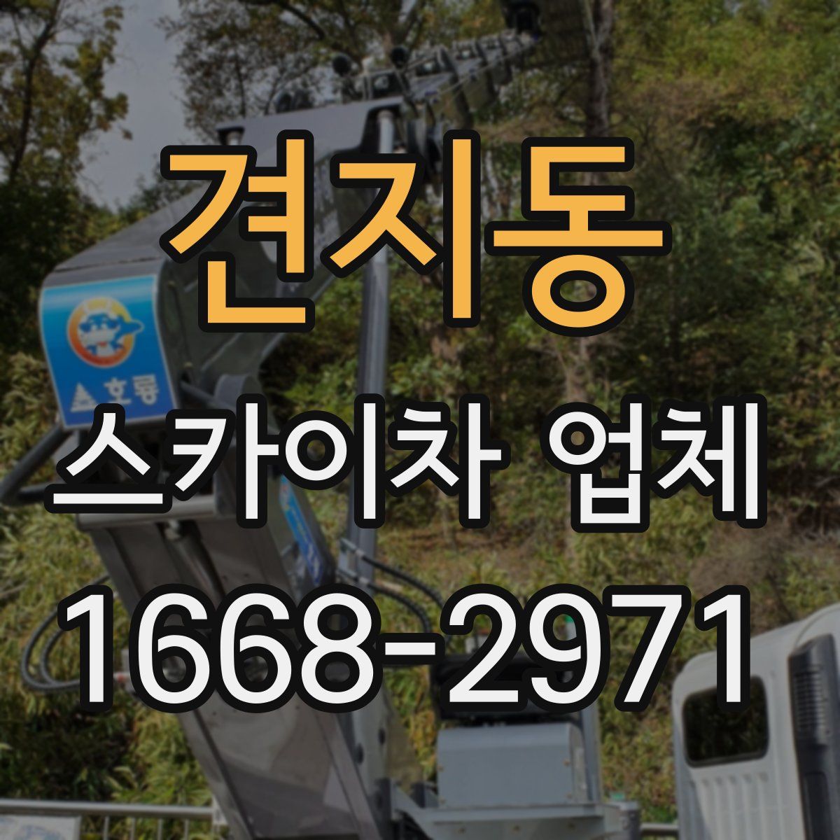 견지동 스카이차 업체