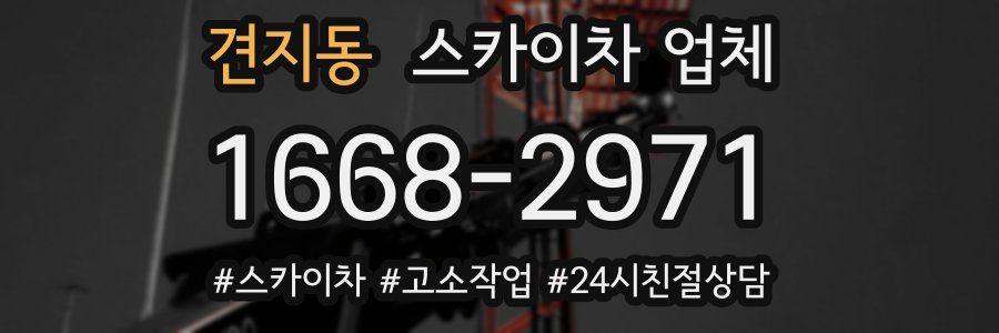 견지동 스카이차 업체