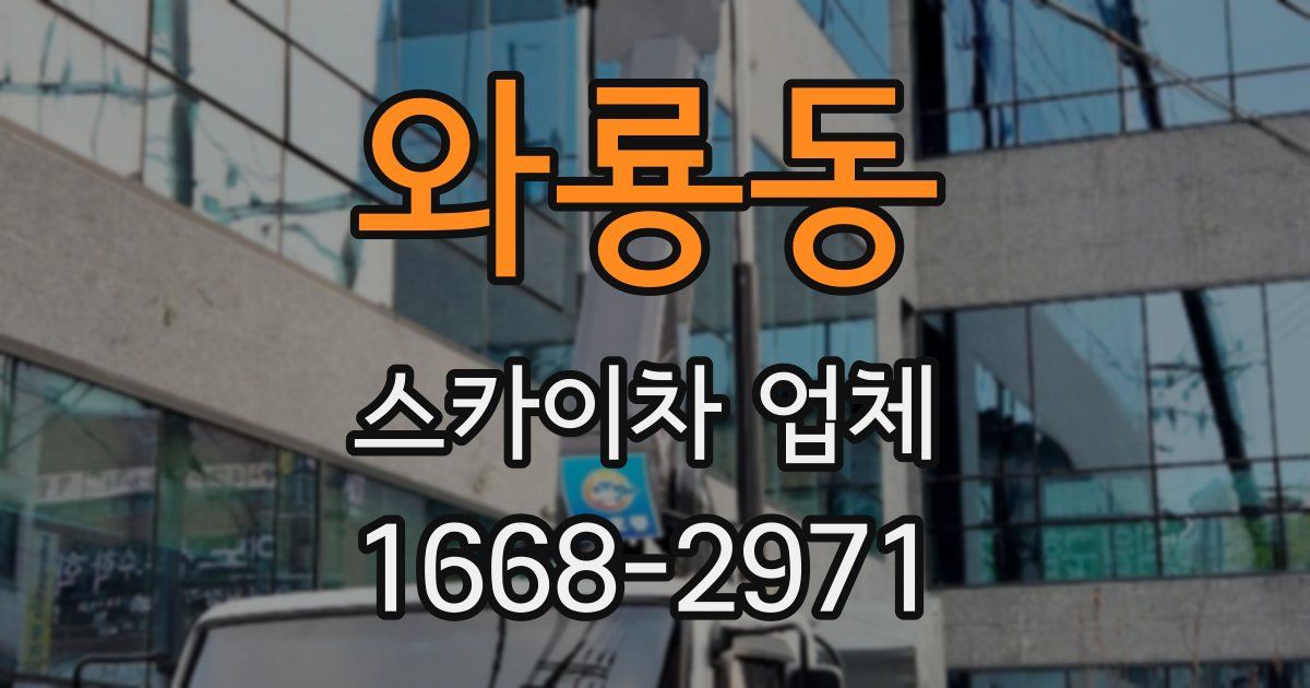 와룡동 스카이차 업체