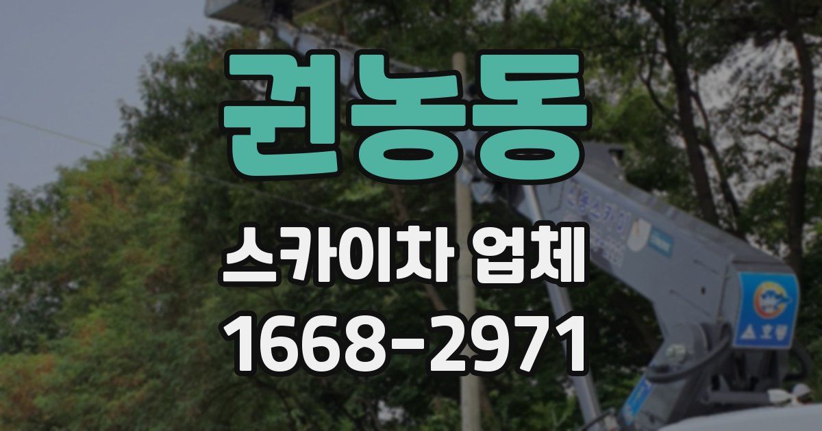권농동 스카이차 업체