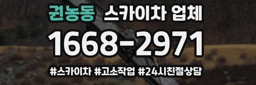 권농동 스카이차 업체
